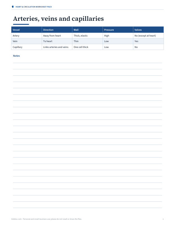 Preview of Printable Vessels Chart